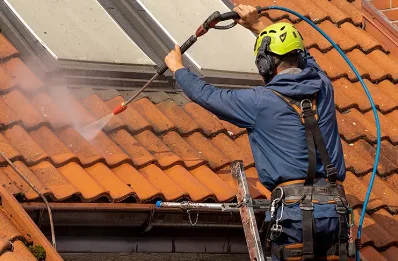 Démoussage et hydrofuge de toiture à Riotord